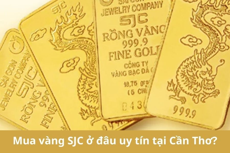 Mua vàng SJC ở đâu uy tín tại Cần Thơ? Top 10 địa chỉ vàng cho nhà đầu tư 2026