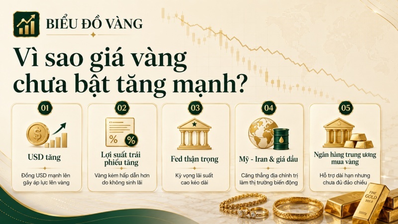 Nguyên nhân giá vàng chưa bật tăng mạnh do USD, Fed và lợi suất trái phiếu